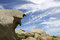 Free Granite Rock Formation Stock Photography - 2523722