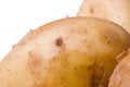Free Potatoes Stock Photography - 2531232