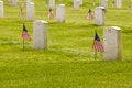 Free Unmarked US Grave Stones Stock Photos - 2535233
