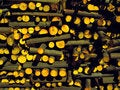 Free Pile Royalty Free Stock Image - 2538146