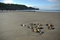 Free Sandsend Beach Royalty Free Stock Photography - 2535467