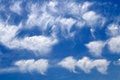 Free Sky Dandelions-1 Royalty Free Stock Photography - 2544387