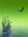 Free Beautiful Seascape Royalty Free Stock Images - 2548999