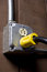 Free Electrical Plug Royalty Free Stock Image - 2547956