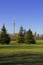 Free Toronto Skyline From Park Stock Images - 2550854