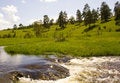 Free Pines, Grass And Rapids Royalty Free Stock Photography - 2553987