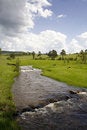 Free Rapids On Mountain Royalty Free Stock Photography - 2554417