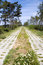 Free Empty Path At Sea. Stock Photo - 2553950