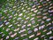 Free Moss And Cobbles Stock Images - 2559814