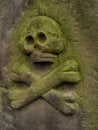 Free Skull Stock Photography - 2561562