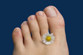Free Summer Feet Toes Royalty Free Stock Photo - 2561965