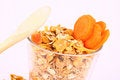 Free Musli Royalty Free Stock Photos - 2567758