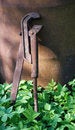 Free Rusty Alligator Wrench Stock Photo - 2568080