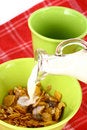 Free Musli Stock Images - 2568404