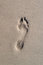 Free Foot Print Royalty Free Stock Image - 2562586