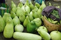 Free Fresh Gourd Stock Image - 2572211