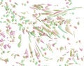 Free Marbled Royalty Free Stock Photography - 2576377