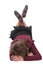 Free Sleeping Girl Royalty Free Stock Photography - 2576787