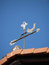 Free Weather Vane Royalty Free Stock Images - 2587979