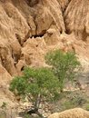 Free Ravine Stock Photo - 2593450