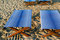 Free Beds In The Beach Royalty Free Stock Photos - 2592338
