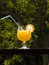 Free Orange Juice Stock Photos - 2594293
