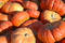 Free Lots Of Pumpkins Royalty Free Stock Photos - 263608