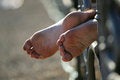 Free Male Toes Stock Image - 2600231