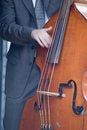 Free Musician Royalty Free Stock Image - 2601906