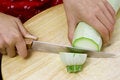 Free Cutting Vegetable Marrow Royalty Free Stock Photography - 2603257
