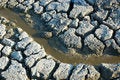 Free Muddy Spring On Dried Dirt Stock Photography - 2606852