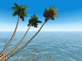 Free Palms On An Exotic Tropical Be Stock Photos - 2609623