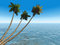 Free Palms On An Exotic Tropical Be Stock Photos - 2609623