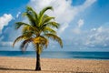 Free Beach Resort In San Juan (Puerto Rico) Stock Image - 26081851