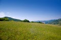 Free Spring Meadow Royalty Free Stock Photos - 2610258