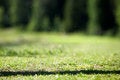 Free Golfing Royalty Free Stock Images - 2610269