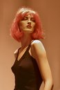 Free Store Window Red Model Stock Image - 2618421