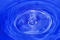Free Blue Drops Royalty Free Stock Images - 2618949