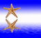 Free Starfish Reflections Stock Images - 2612854