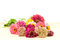 Free Garden Bouquet Stock Photography - 2615182