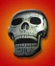 Free Spotlighted Skull Royalty Free Stock Image - 2622026