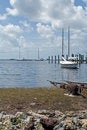 Free Sailboat Stock Photography - 2623332