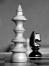 Free King Royalty Free Stock Photo - 2625475