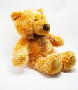 Free A Toy - A Soft Bear Royalty Free Stock Photo - 2630675
