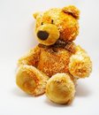 Free A Toy - A Soft Bear Royalty Free Stock Image - 2630676