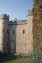 Free Tower Of London Royalty Free Stock Photo - 2631525