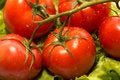 Free Tomatoes And Lettuce Stock Photography - 2634102