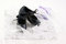 Free Tap Shoes And Ribbons Stock Photo - 2634060