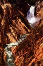 Free Grand Canyon Of  Yellowstone 3 Royalty Free Stock Photos - 2642968