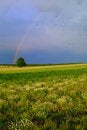 Free Field And Rainbow Stock Photo - 2644530